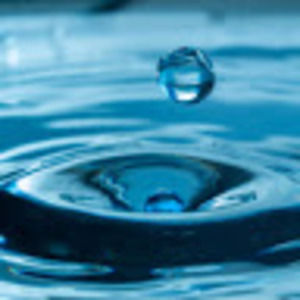 Meet your Posher, Charlie